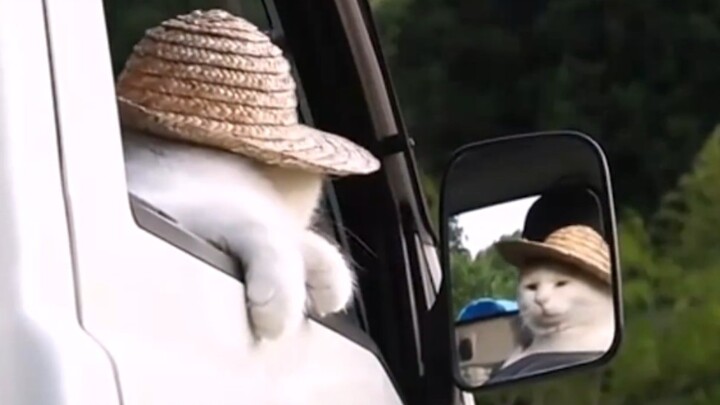 I keep heading north, leaving behind the season with you!