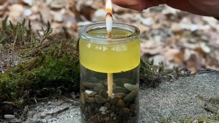 مختص في البقاء في البرية