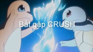 Anhem CHIẾN nhau nhưng vẫn YÊU THƯƠNG nhau||pokemon