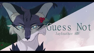 Guess Not || Jayfeather PMV/AMV