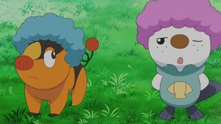 [Pokémon] Tất cả các thành viên đều có đầu afro