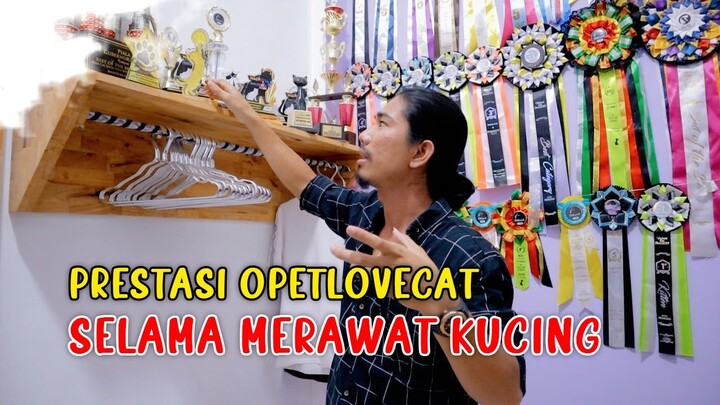 PRESTASI O Pet LOVE CAT Selama Merawat Kucing