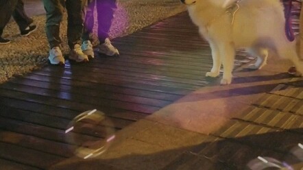 Ketika putri konglomerat yang polos bertemu dengan perwira polisi Jerman yang tampan, mereka sampai 