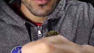 best foot