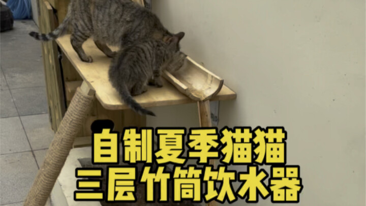Making a "Summer Three-Tier Bamboo Water Fountain" for the Stray Cats in the Courtyard