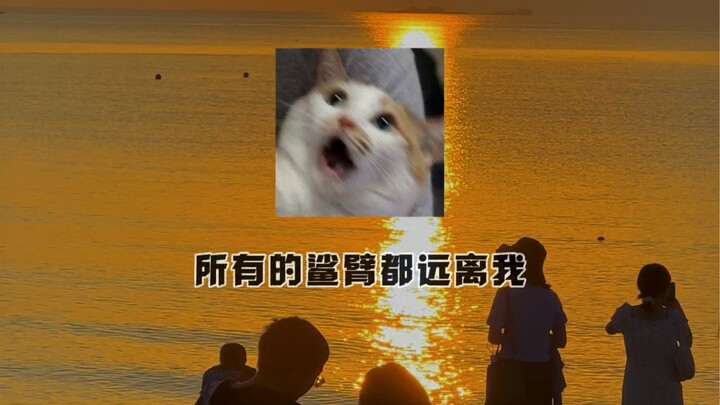 วรรณกรรมบ้าคลั่ง