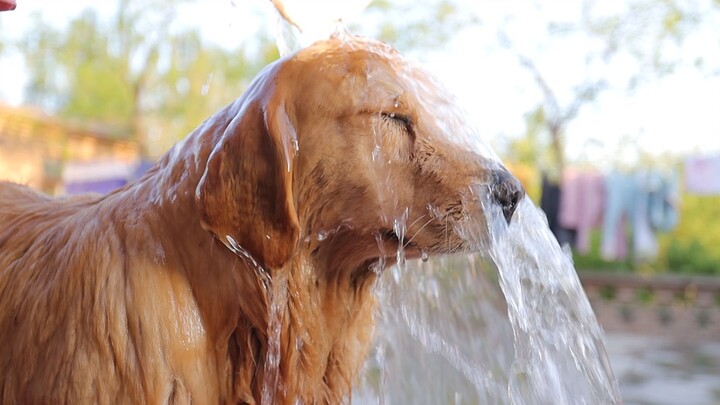 Soy milk—my period’s here, and quarantine life has started again!