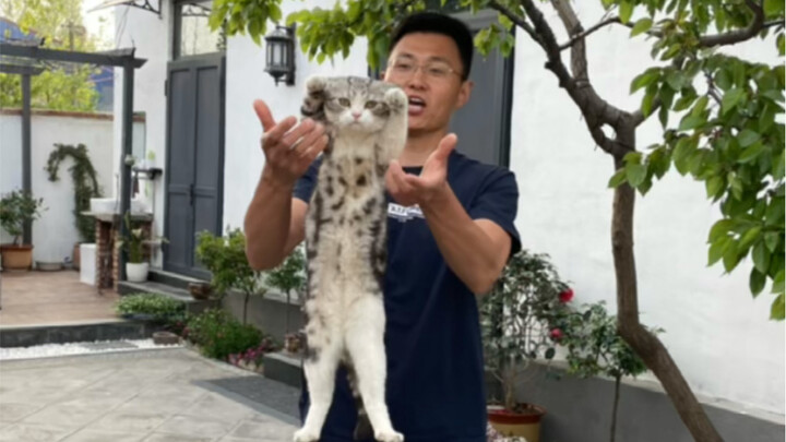 I never realized it before: having a little courtyard can actually make your husband more diligent!