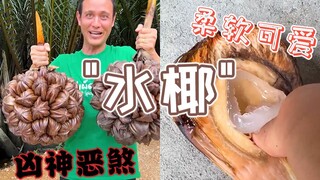 Can't let it go even looking like this! The Southeast Asian "water coconut," with a coconut-like she