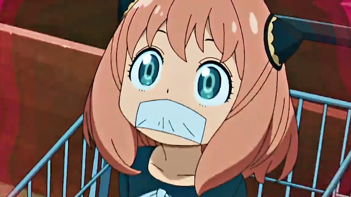 เราไม่คุยกันแล้ว - Spy x Family AMV/EDIT