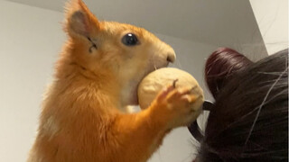 Mom, take this to the company to eat.