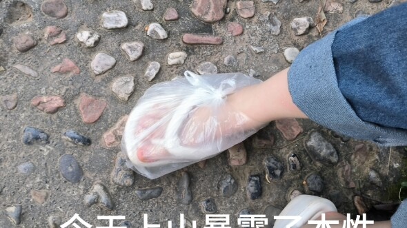 คำวิจารณ์จากม้าหลัวคนหนึ่ง