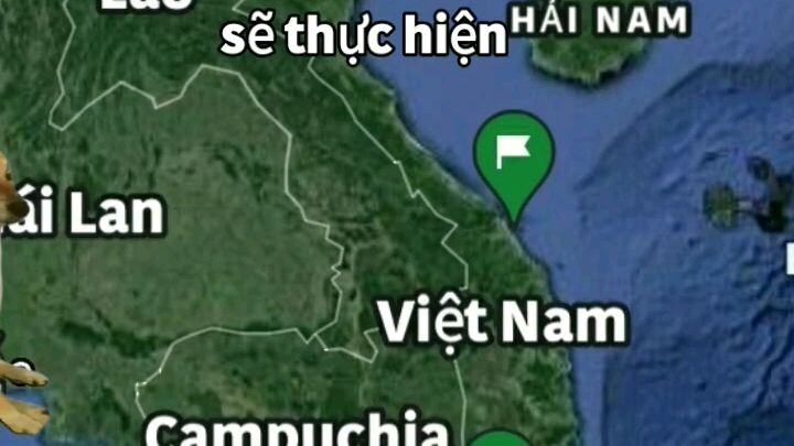 trây lơ anime mới
