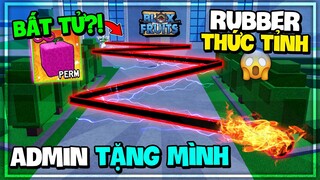 Roblox - Mình Sở Hữu TRÁI RUBBER V2 THẦN THOẠI MỚI?! Update 20 Blox Fruits