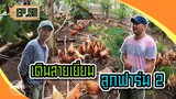 เดินสายเยี่ยมลูกฟาร์ม2 @ฟาร์มไก่ไข่พี่ชล - [สิรินทร์ฟาร์ม] EP.56