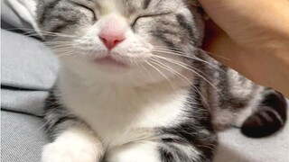 Đừng! Đụng! Vào! Tôi! Nha!