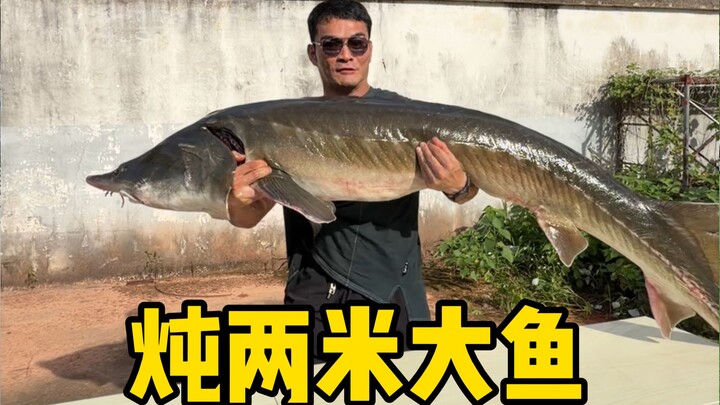 I haven’t made any giant delicacies in ages—today I’m braising a 2-meter-long sturgeon to see if my 