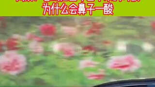 男子路上喊话大哥 开上迈巴赫 心爱的人还在身边吗 #搞笑 #万万想不到