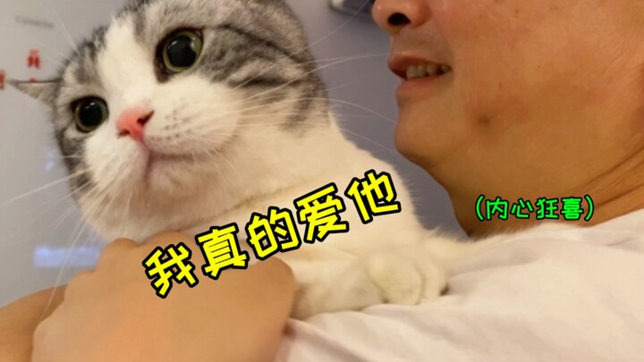 Ini apa sih, kucing ketagihan sama ayah? Baru beberapa hari ayah tinggal di sini, kucingku udah engg