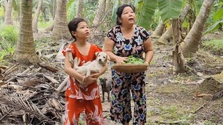 Thu Hoạch Rau Vườn Cùng với Rổ Cá Tươi Sau Một Ngày Giăng Lưới | TKQ & Family T848