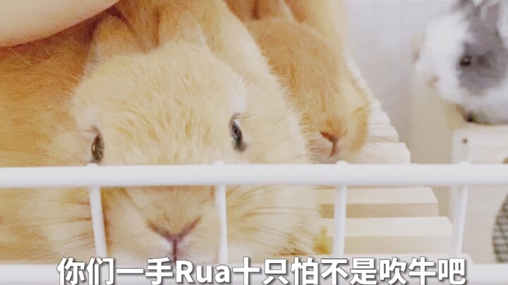 รัวกระต่ายชั่วครู่ก็ฟิน…รัวทีเดียวสองตัวยิ่งฟินสุดๆ….