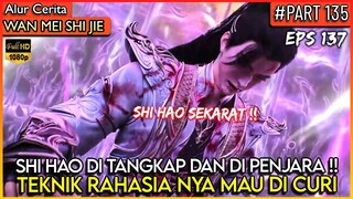 SHI HAO DI SELAMATKAN OLEH DEWA MERAK !! - Donghua PERFECT WORLD WANMEI SHIJIE #WMSJ PART 135