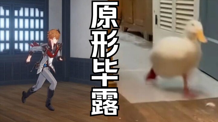 True colors revealed