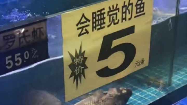 “Thiên tài marketing”