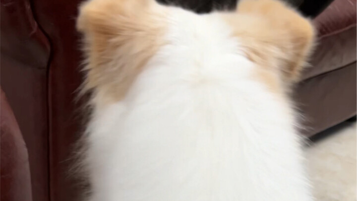 Berolahraga itu mudah, tapi sulit menghindari makanan khusus!