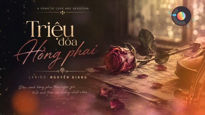 Triệu đoá hồng phai