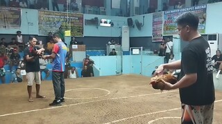 WIN! @SMCA 10/18/25 PULA KONTRA BULIK NAMIN 2X WINNER KANA