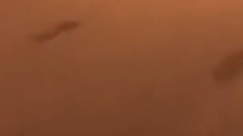 交警: 这得开多快啊  人都撞那么远轿车司机:  我说她自己摔的你信不