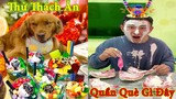 Thú Cưng TV | Đa Đa Thánh Chế #16 | Chó Golden Gâu Đần thông minh vui nhộn | Pets cute smart dog