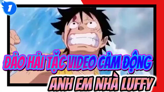 Em Nhớ Anh: Anh Em Nhà Luffy Clip Cảm Động (Nhớ Mang Giấy) | Đảo Hải Tặc_1