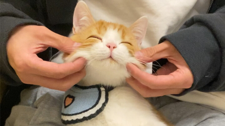 พอสัมผัสมัน ทำไมมันถึงหัวเราะล่ะ?