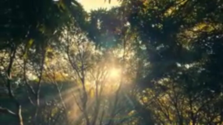gold aceron metamorphosis full movie
