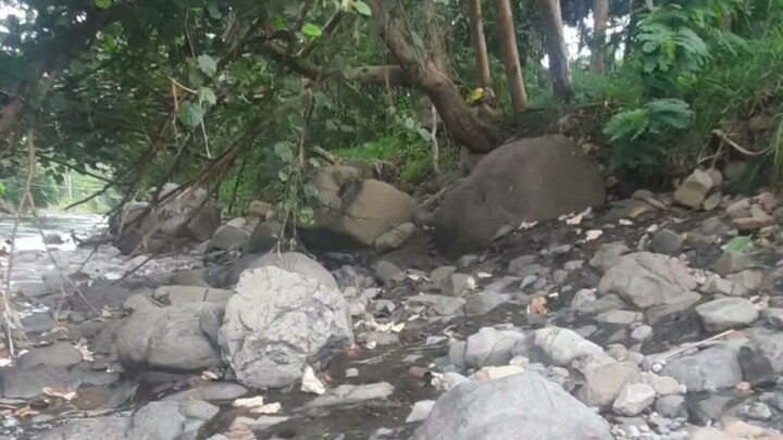 Berenang di Kali Kampung Pamipiran Pameungpeuk Garut Selatan