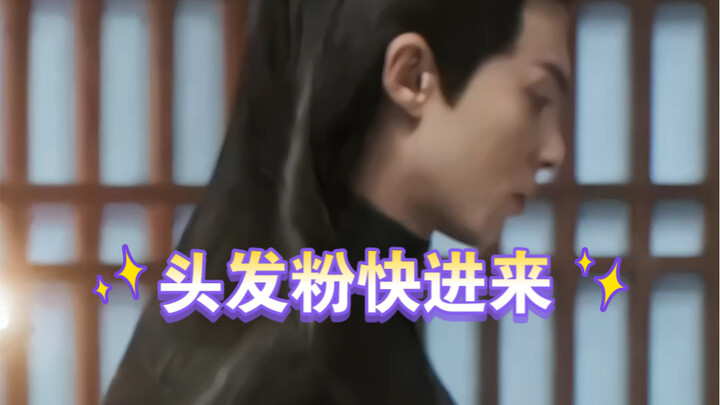 尊上的头发是我一辈子羡慕不来的