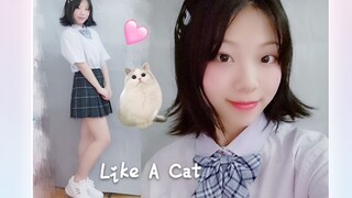 【❀舞蹈初投稿❀ /兔儿药药】猫步轻俏 Like A Cat 有点肉的一只猫 大冬天的跳舞好冷