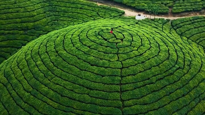 india's beautiful village kerala