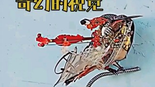 日常练习10秒完成 #转笔