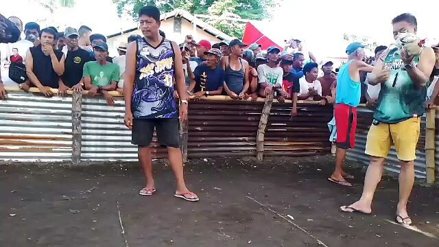 Win(biboy white kelso)