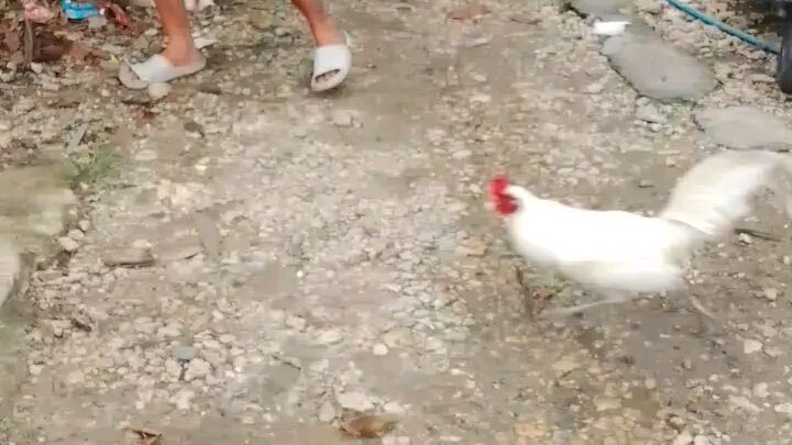 Pano mutu matatamaan?😅☺️