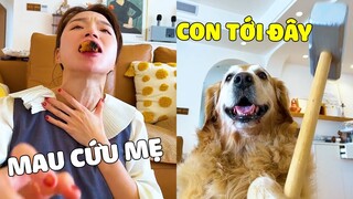 Đại Trang | Khi Mẹ Ham Ăn Không Nhường Phần Cho Đại Trang Và Hậu Quả Thốn Tận Rốn 🤣 Gâu Đần Official