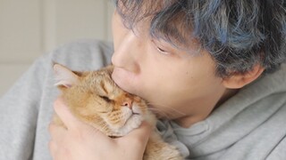 关于小区被封在家只能读评论这件事