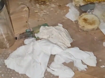 Con chuột chính là vì dính đòn do dựng hình mà ra.