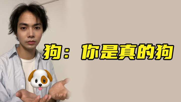 ردود فعل المدونين المختلفين عند سماعهم وفاة كلابهم