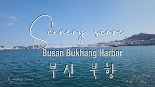 [Busan North Port] with PIANO Walking / near Train Station / Busan Expo 2030 _Bukhang