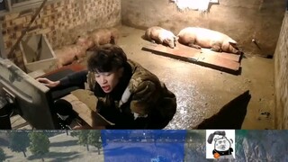 🐷 Siaran