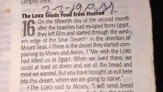 Daily Verse                   Exodus 16:1-5